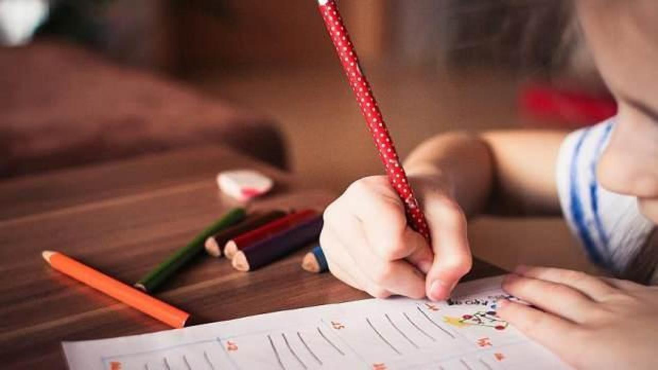 Türkiye'de muhtemel eğitim süresi 2023'te 17,9 yıl oldu