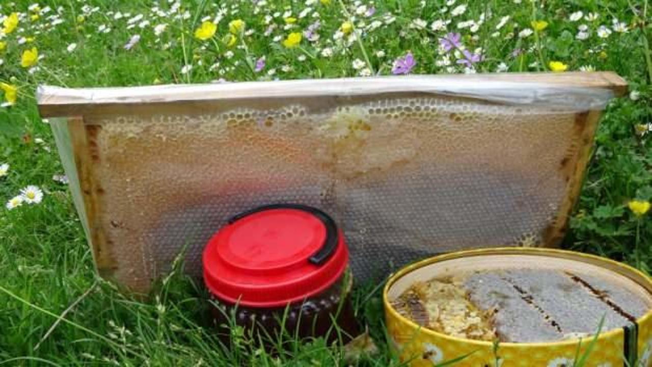 Ucuz bala dikkat! 1 kilo balın arıcıya maliyeti a&ccedil;ıklandı