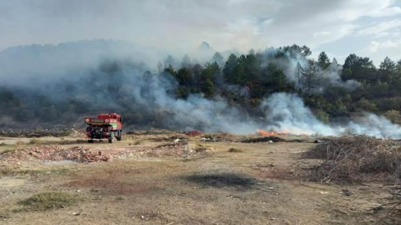 Afyonkarahisar'da &ccedil;&ouml;pl&uuml;k alanda &ccedil;ıkan yangın ormana sı&ccedil;radı