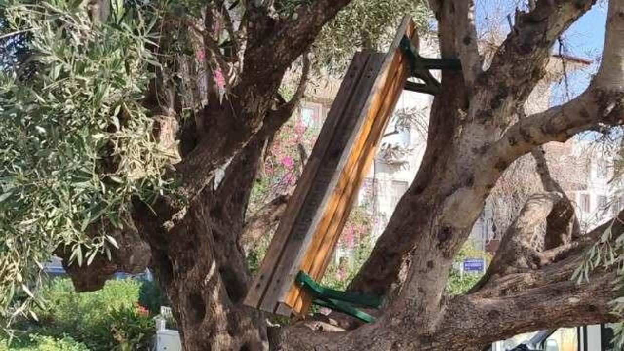 Aydın&rsquo;da bankı &ccedil;ıkardıkları yer ekipleri şaşkına uğrattı!