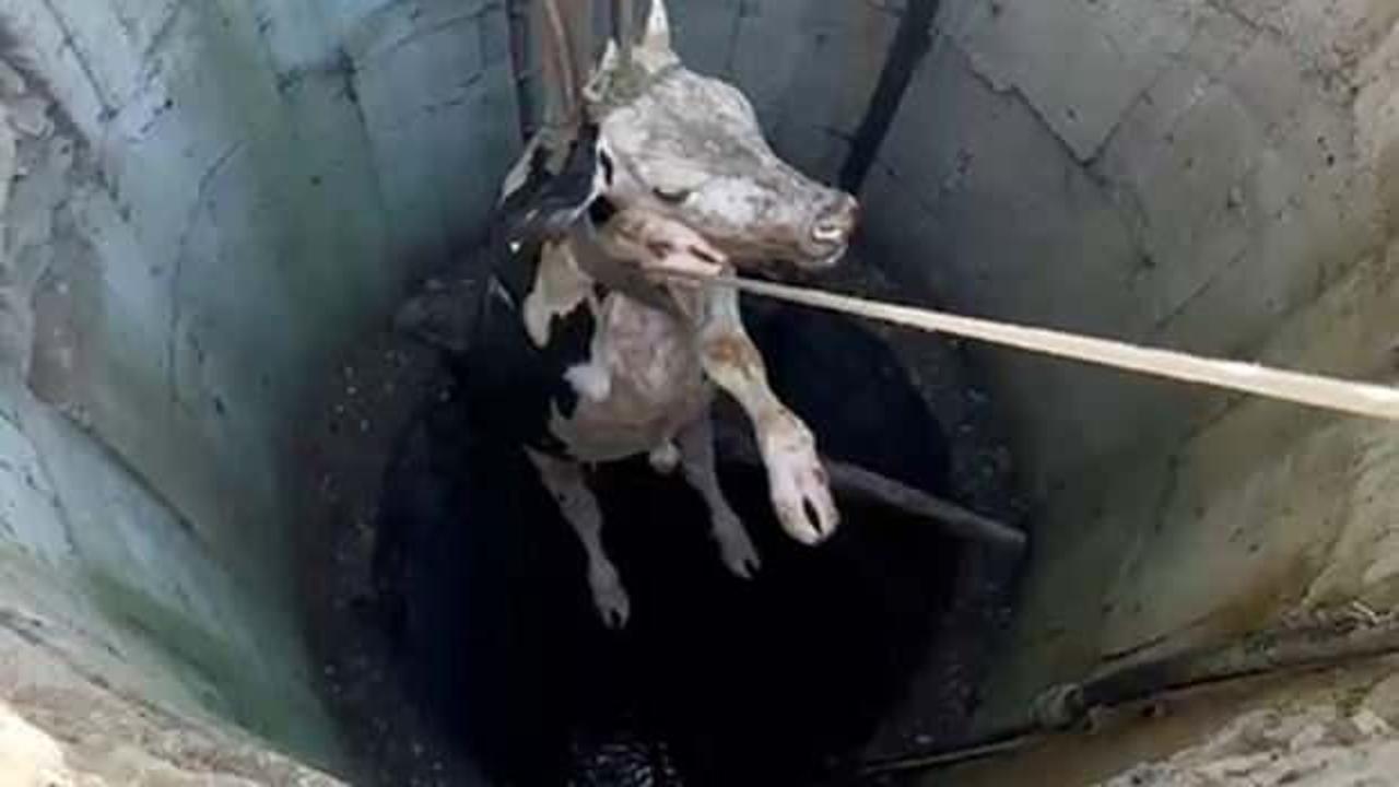 Burdur'da 20 metrelik kuyuya d&uuml;şen inek vin&ccedil; yardımıyla &ccedil;ıkarıldı