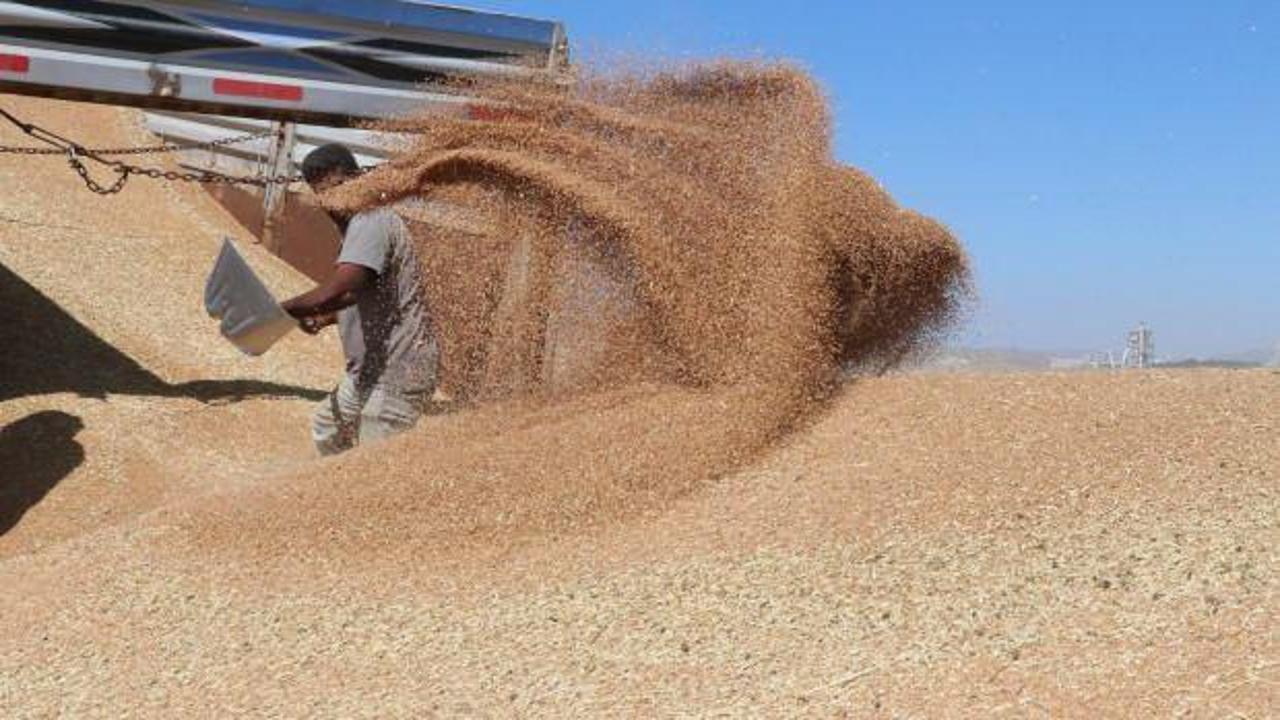 Hububat ve bakliyat ihracatı 9 milyar dolara yaklaştı