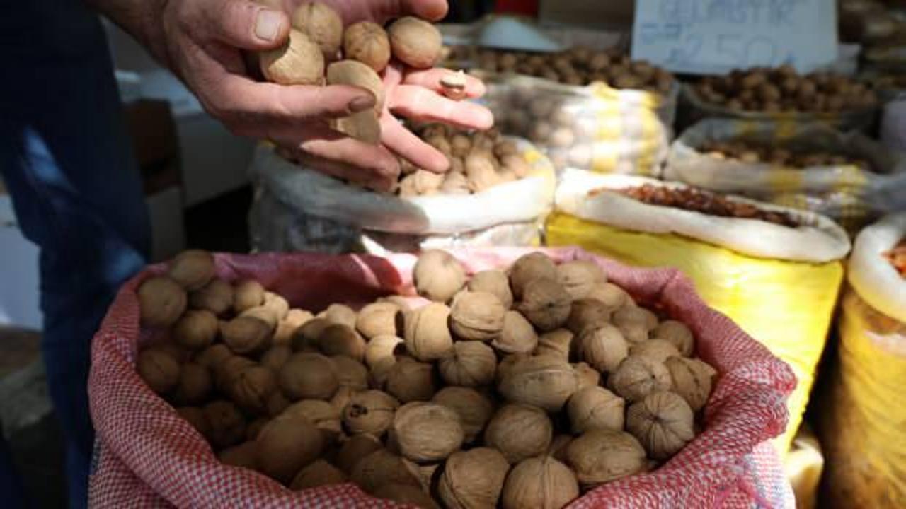 Kahramanmaraş'ta 20 bin ton ceviz rekoltesi bekleniyor