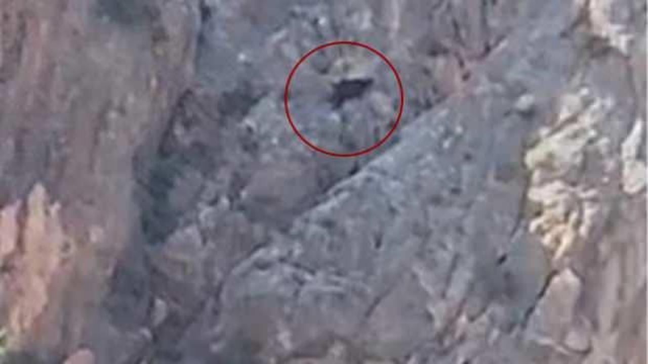 Ke&ccedil;ilere kurtarma operasyonunda ger&ccedil;ek bambaşka &ccedil;ıktı