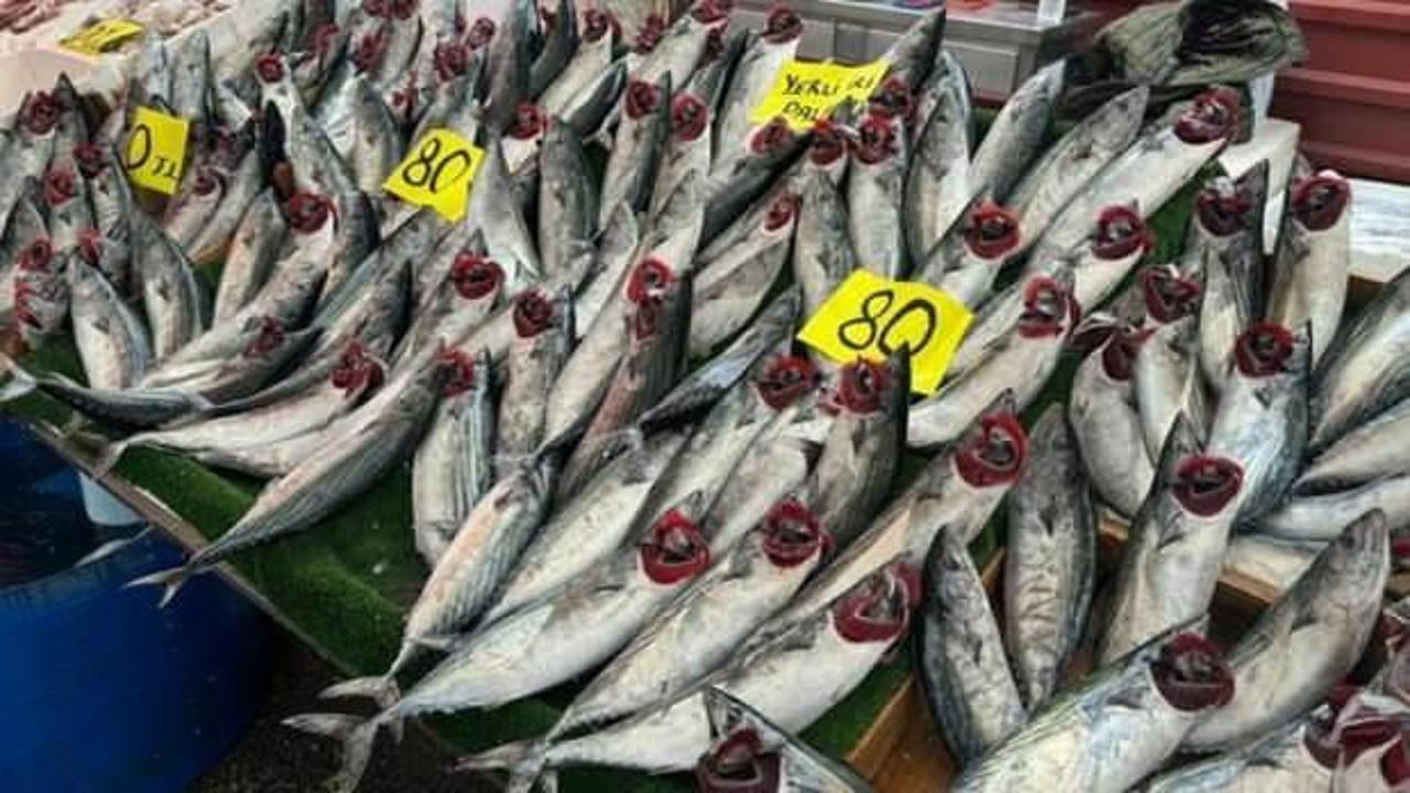 Palamudun fiyatı 80 liraya d&uuml;şt&uuml;