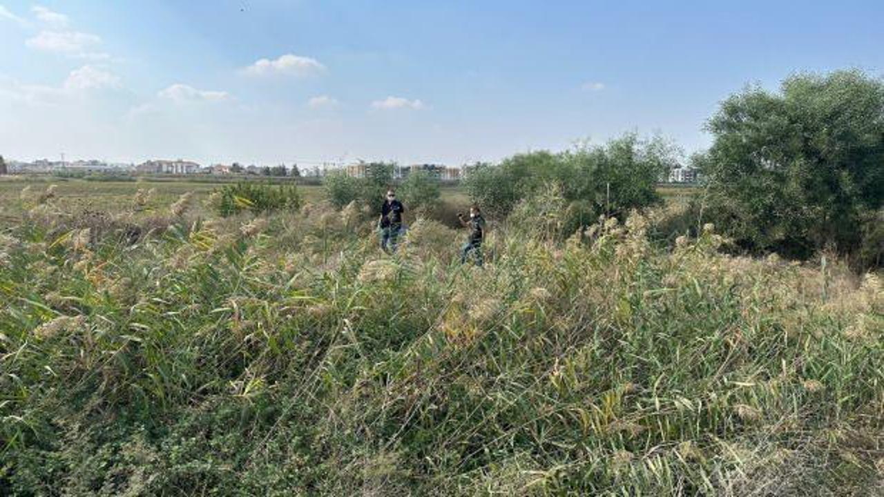 Sazlıkta korkun&ccedil; manzara: Par&ccedil;alanmış ceset bulundu!