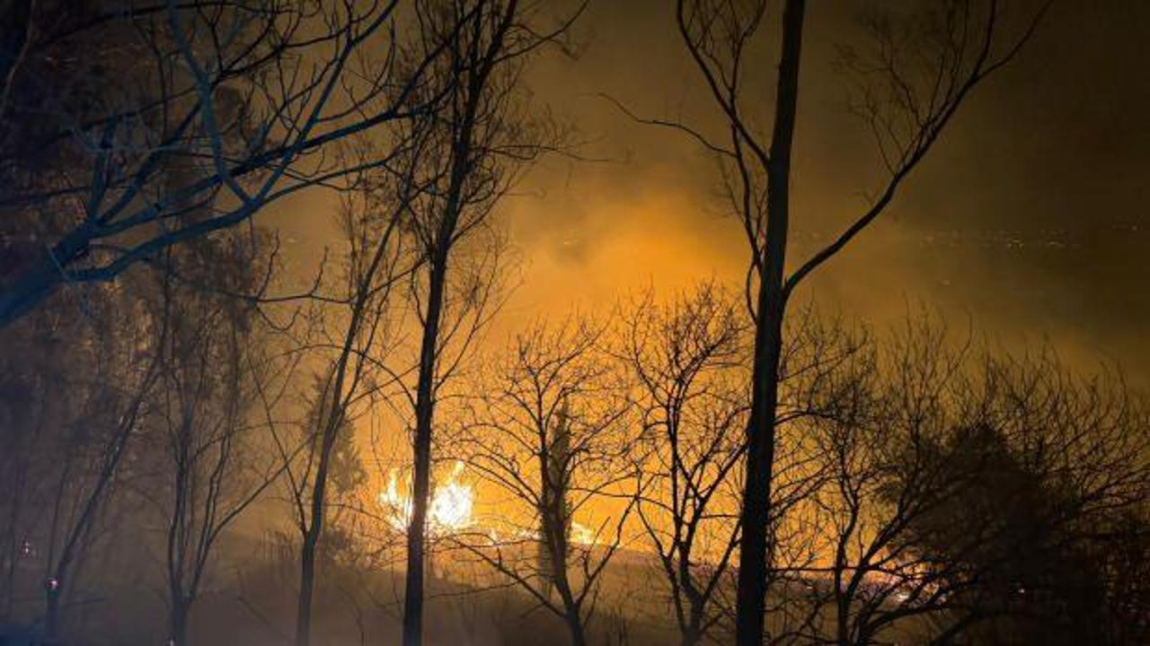 Adana'da orman yangını