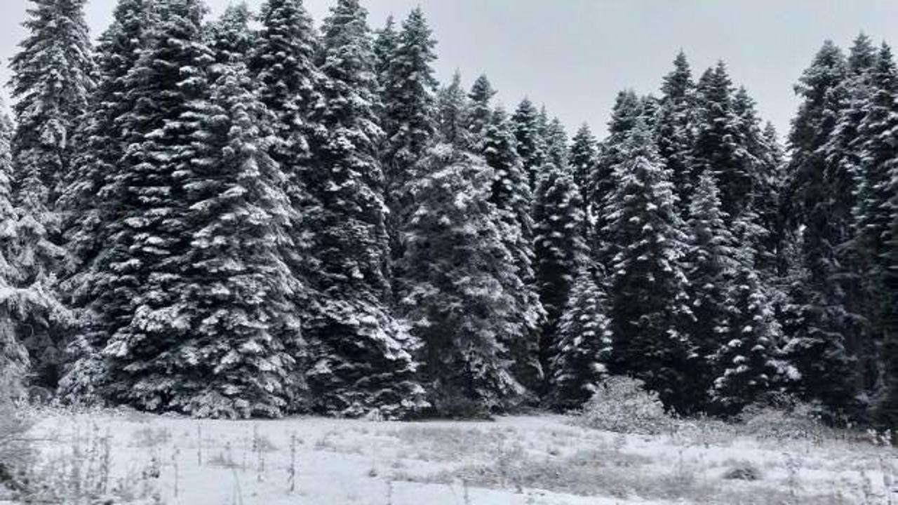 Bolu'nun yüksek kesimleri beyaza büründü