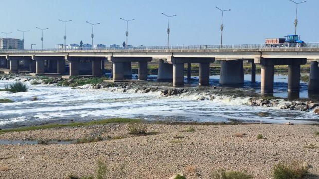 Dicle Nehri'nde korkutan görüntü! İnceleme başlatıldı