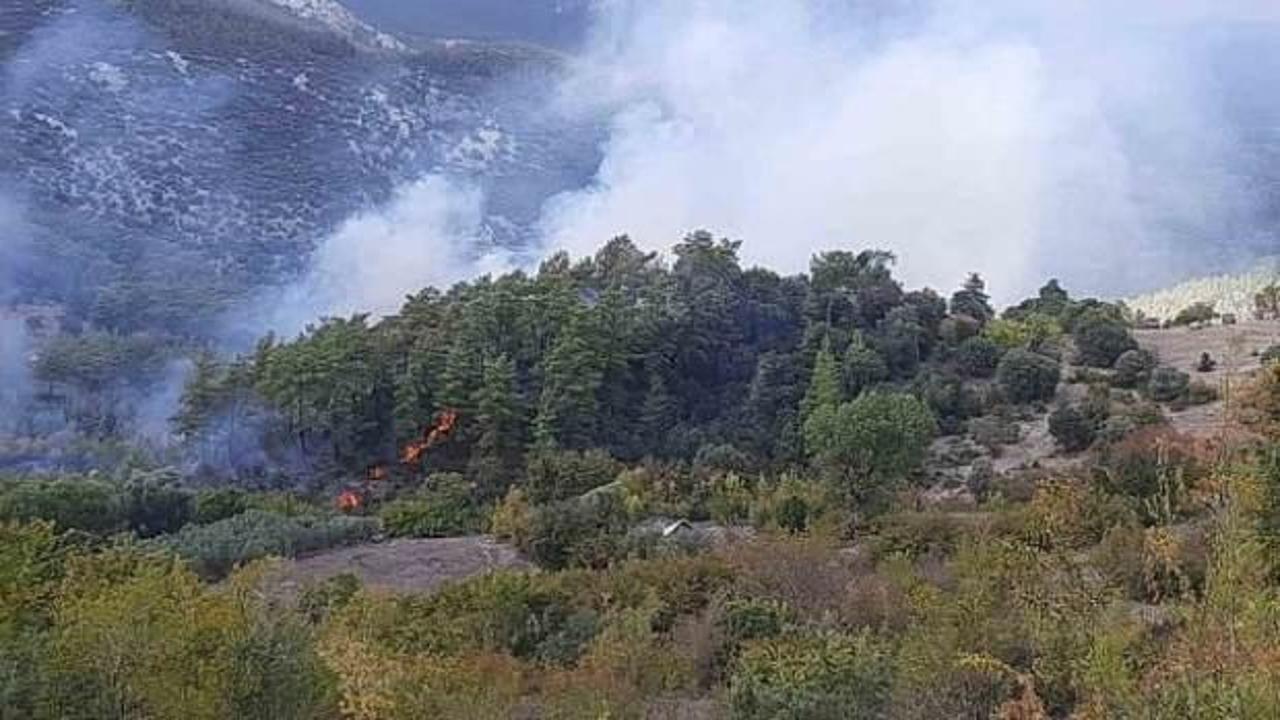 Kumluca'da orman yangını