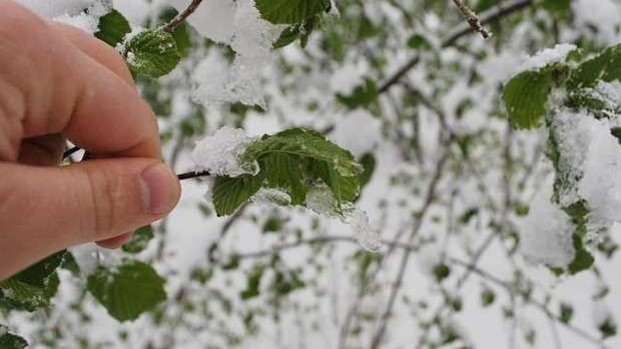 Meteorolojiden zirai don uyarısı