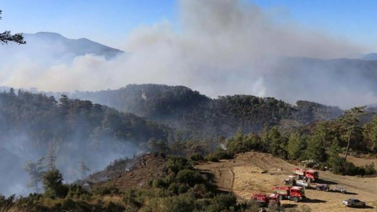 Muğla'nın 2 ilçesinde orman yangınlarına müdahale sürüyor