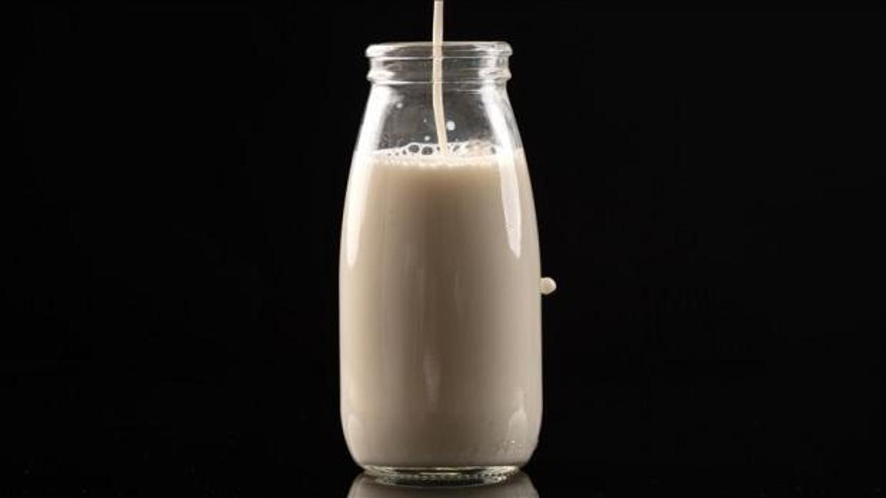 Toplanan inek s&uuml;t&uuml; miktarı ağustosta yıllık bazda y&uuml;zde 13,5 arttı