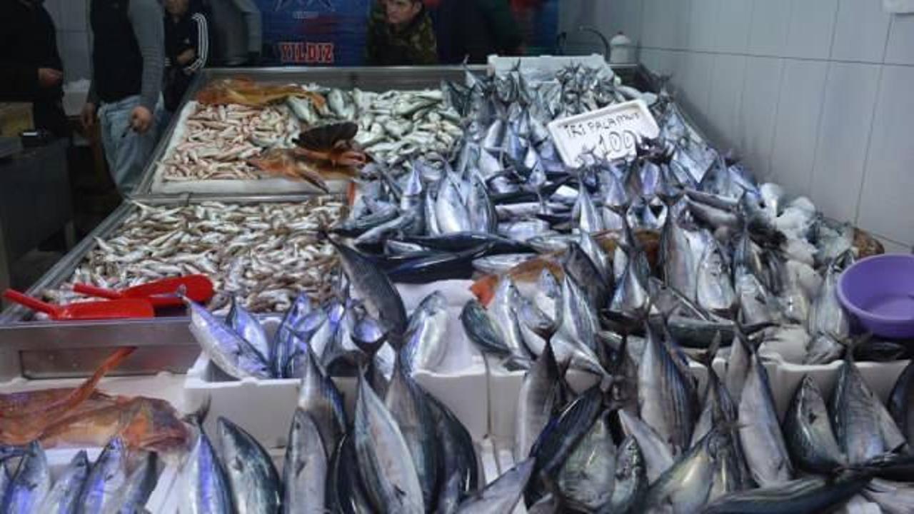 1,3 kiloluk palamutlar 100 lira!