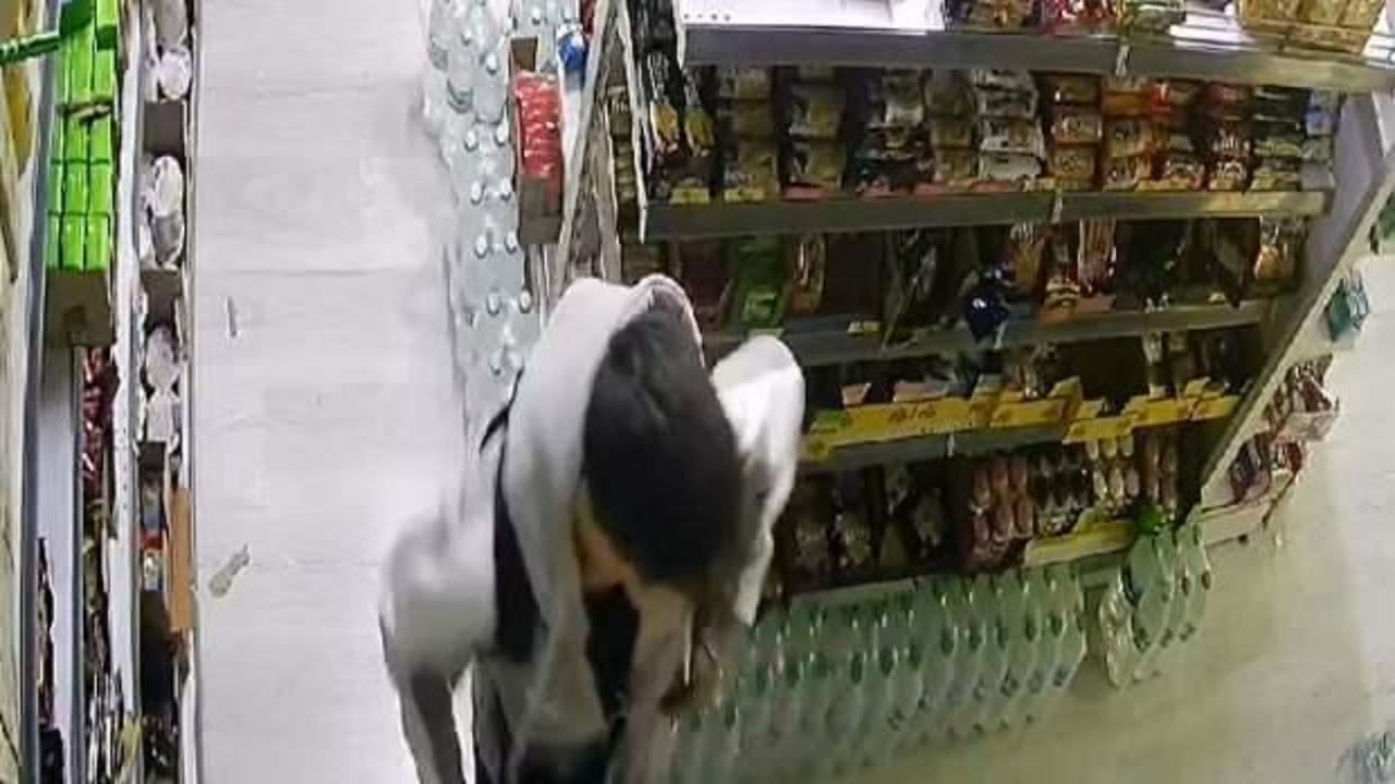 Arnavutk&ouml;y&rsquo;de Dubai &ccedil;ikolatası &ccedil;aldılar! 