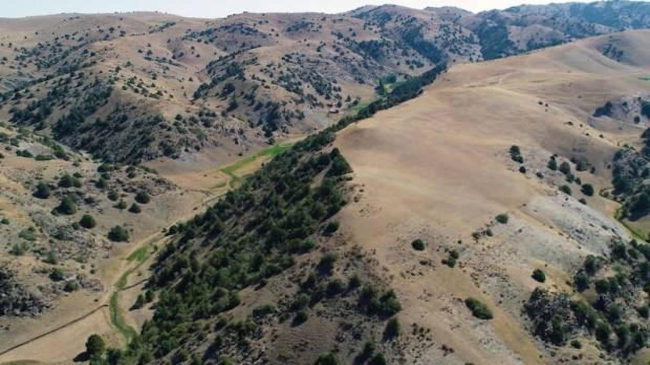 Bilim insanlarının İpek Yolu üzerindeki yeni keşifleri