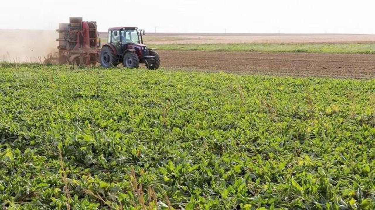 Çeltik üretiminde damla sulama, metan gazı salımını ve su sarfiyatını azaltıyor