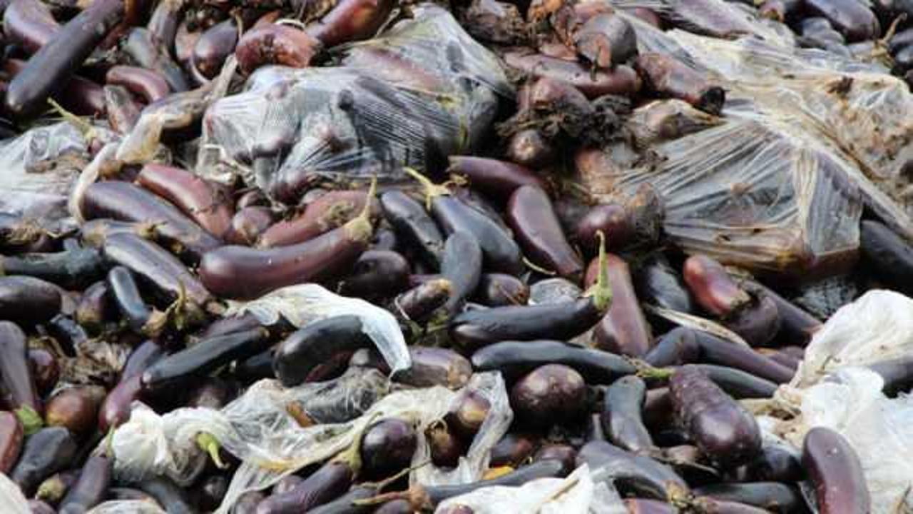 &Ccedil;uvallar dolusu soğan ve patlıcan d&ouml;k&uuml;ld&uuml;! İnceleme başlatıldı