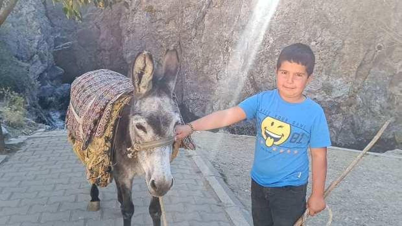 Homurlu Şelalesi&rsquo;nin minik girişimcisi: Musa ve eşeği