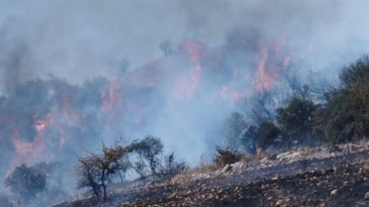 Osmaniye'de 2 noktada &ccedil;ıkan orman yangını kontrol altında