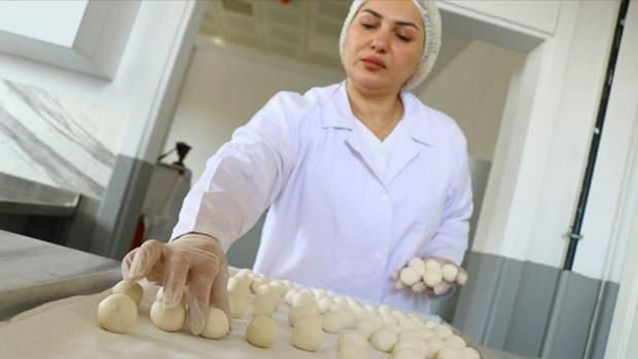 Peyniri kurutup ABD'ye ihraç ediyor