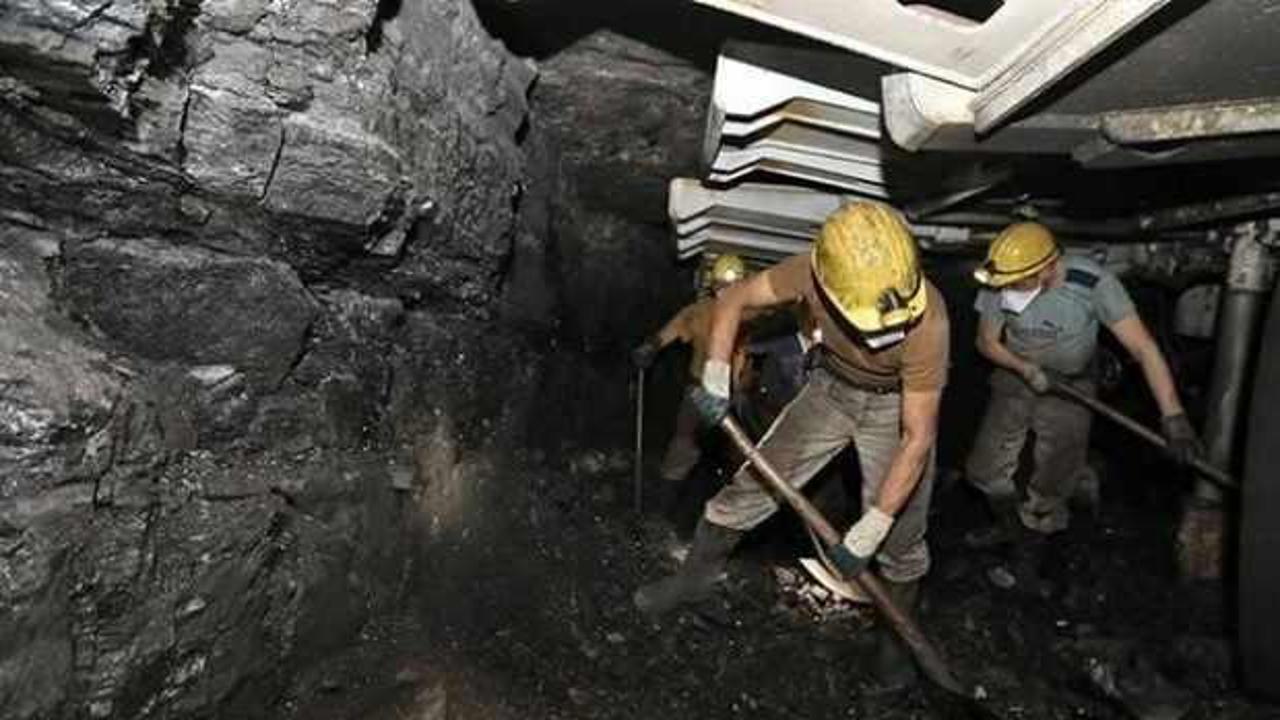 TTK kura &ccedil;ekimi sonu&ccedil;ları: 2024 T&uuml;rkiye Taş K&ouml;m&uuml;r&uuml; kadro/branş dağılımı belli oldu mu?