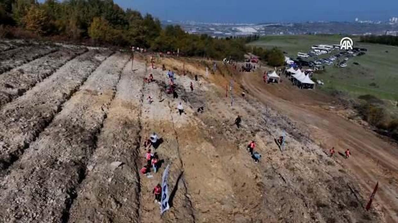81 ilde 2,2 milyon fidan toprakla buluşturulacak... Samsun'dan başladı