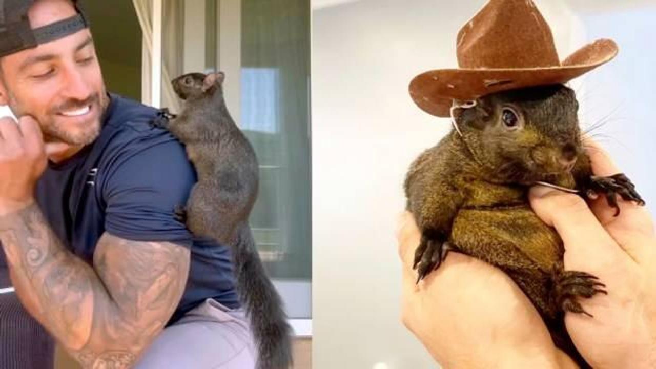 ABD fenomeni öldürdü! Sincap Peanut'a ötenazi yapıldı