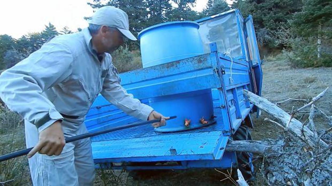 Anadolu irfanı bu olsa gerek: Kuşlar i&ccedil;in varille su taşıyor