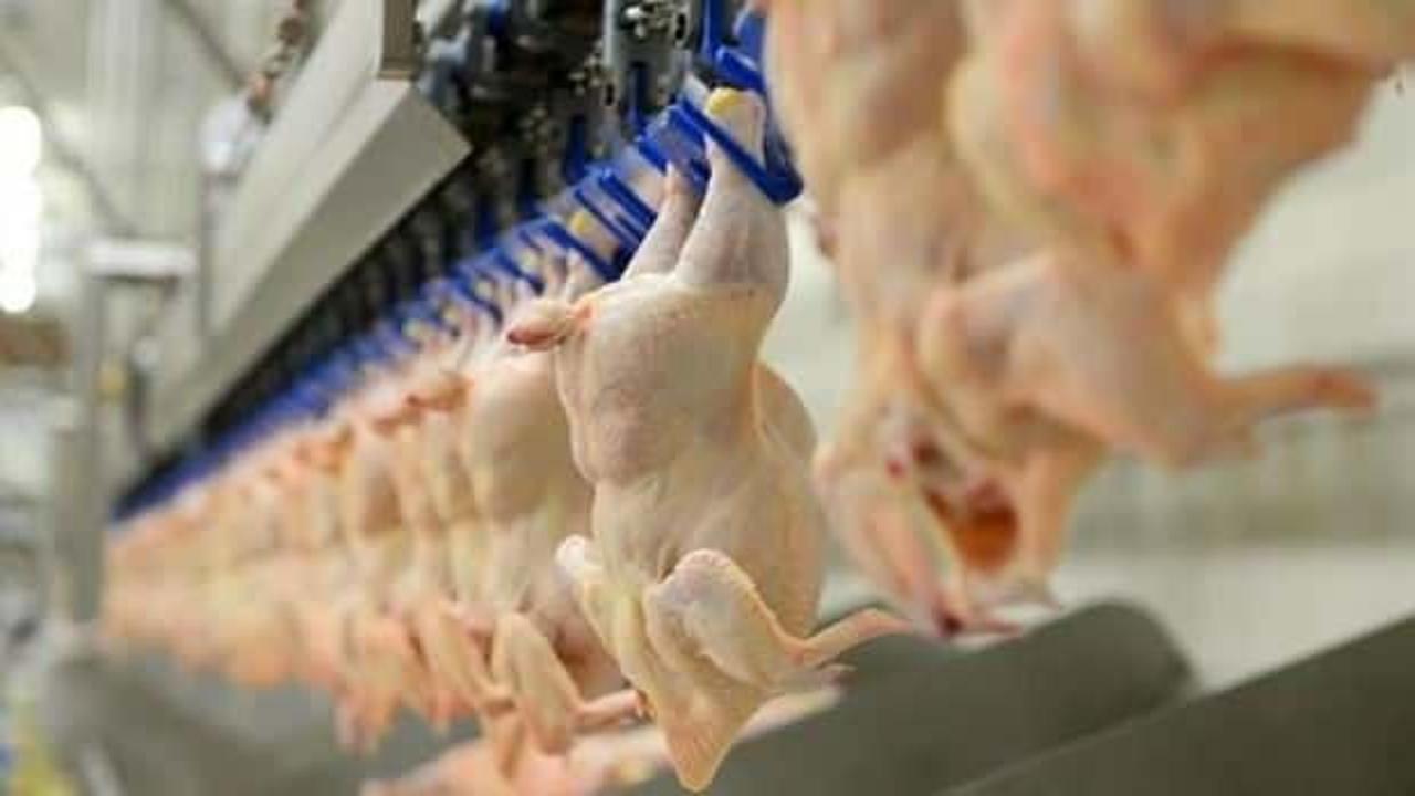 Beyaz et sektöründeki rekabet soruşturması genişletildi