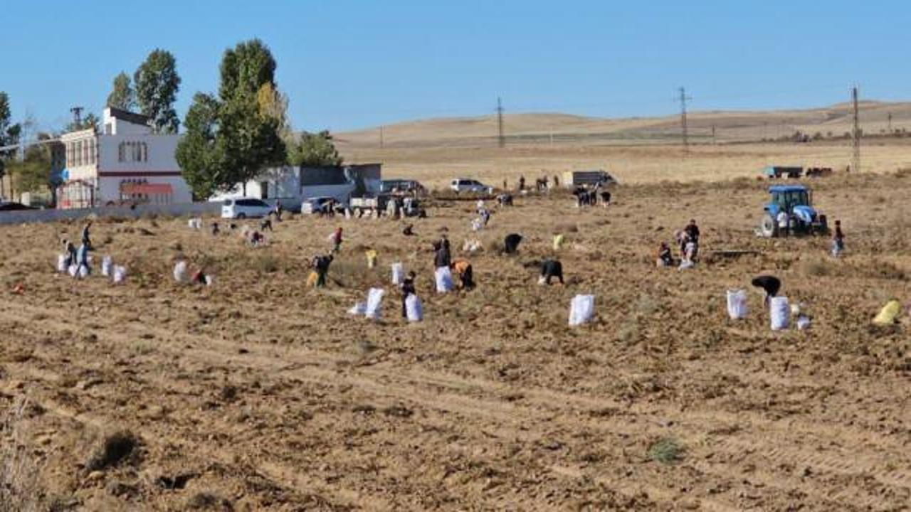 &Ccedil;ift&ccedil;iden vatandaşlara bedava patates!