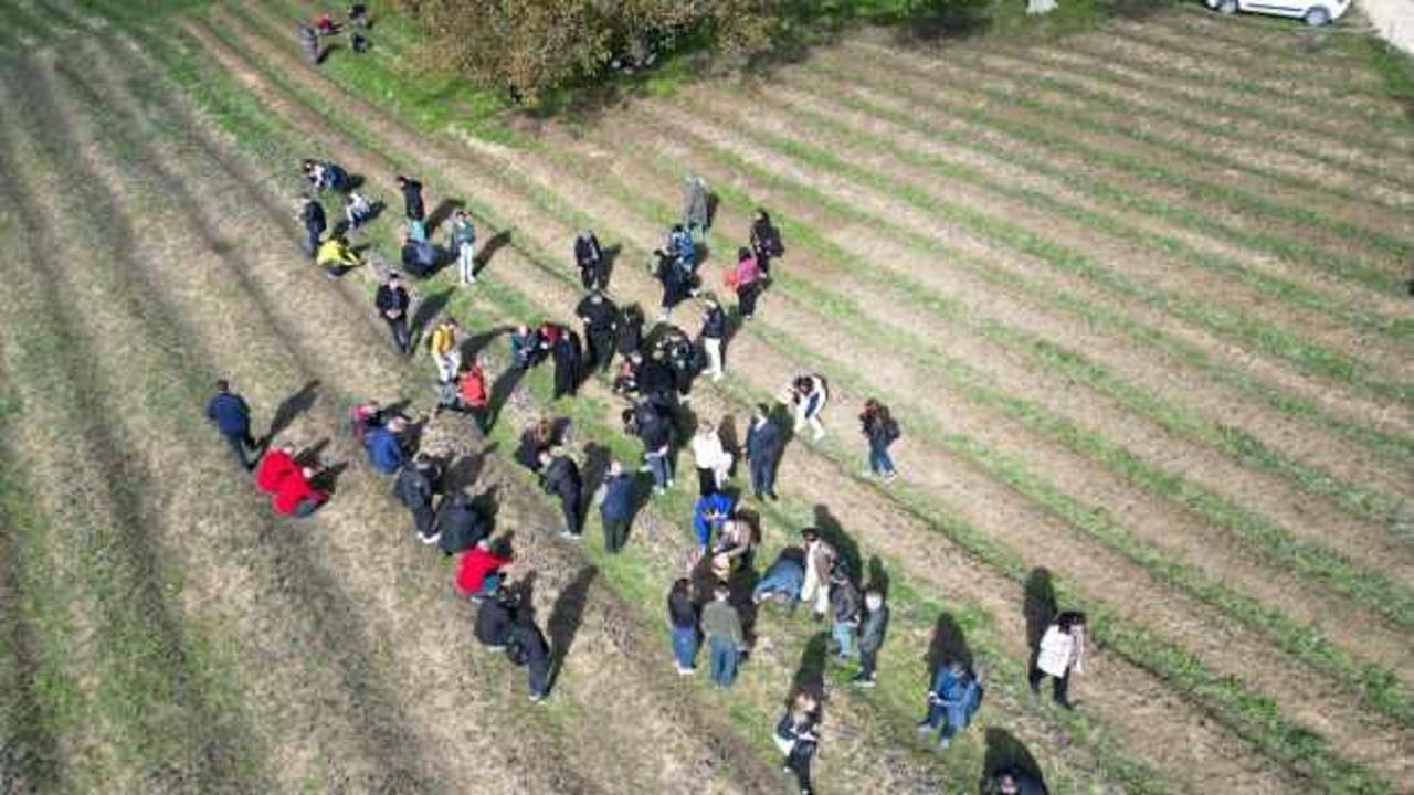 En değerli bitkinin hasadı başladı! Kilosu 450 bin liradan satılacak