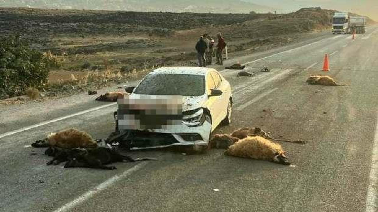 Hatay'da otomobil s&uuml;r&uuml;ye daldı: 17 hayvan telef oldu!