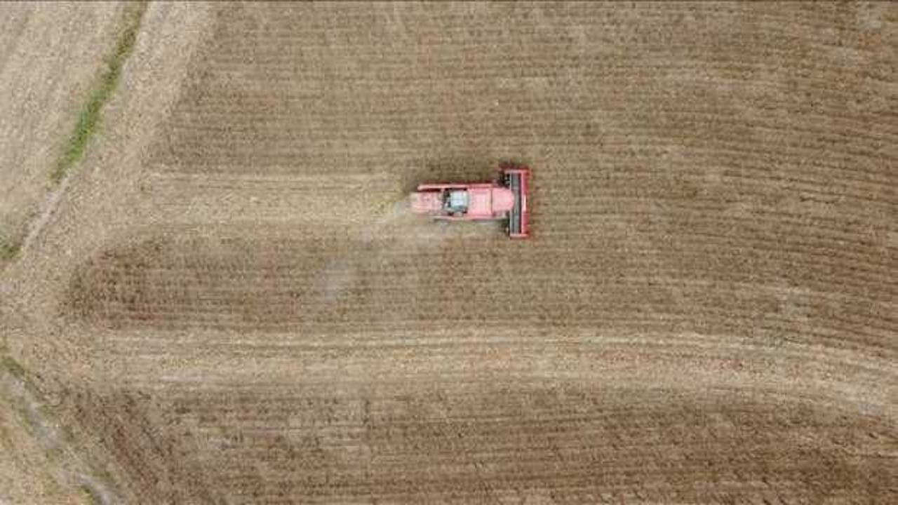 İklim değişikliği tarımda ekim d&ouml;nemlerini değiştirirken verimi de etkiliyor