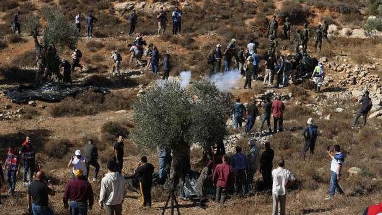 İsrail'in zeytin toplayanlara bile tahamm&uuml;l&uuml; yok