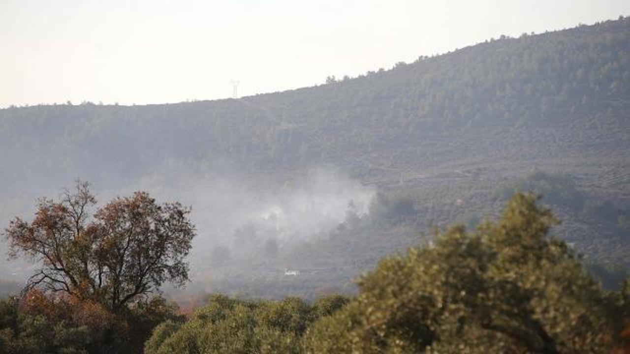 Muğla'da ormanlık ve zeytinlik alanda yangın