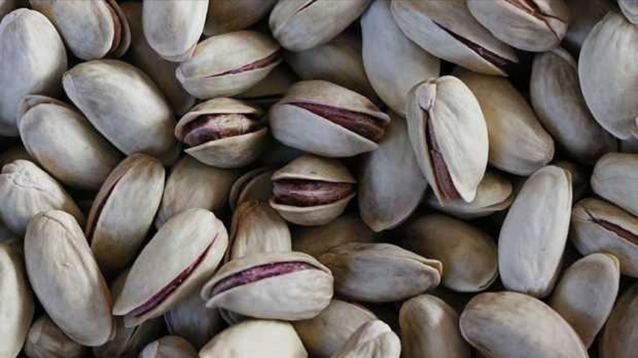 Antep fıstığında Dubai &ccedil;ikolatası etkisi: Fiyatlar tırmanışa ge&ccedil;ti