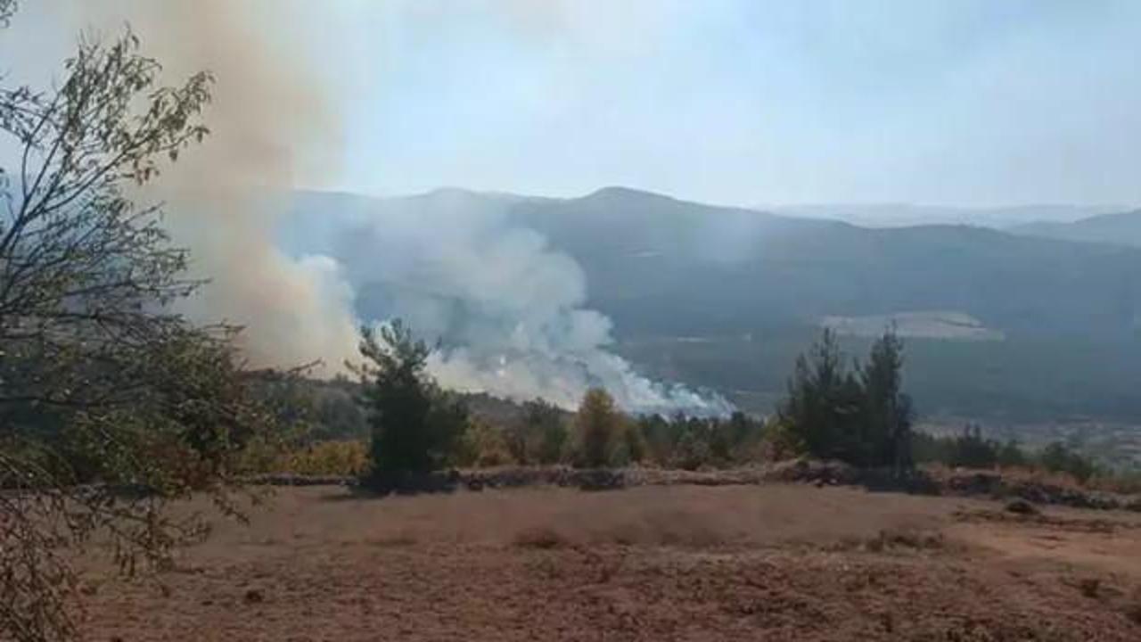Bursa'nın 2 il&ccedil;esinde orman yangını