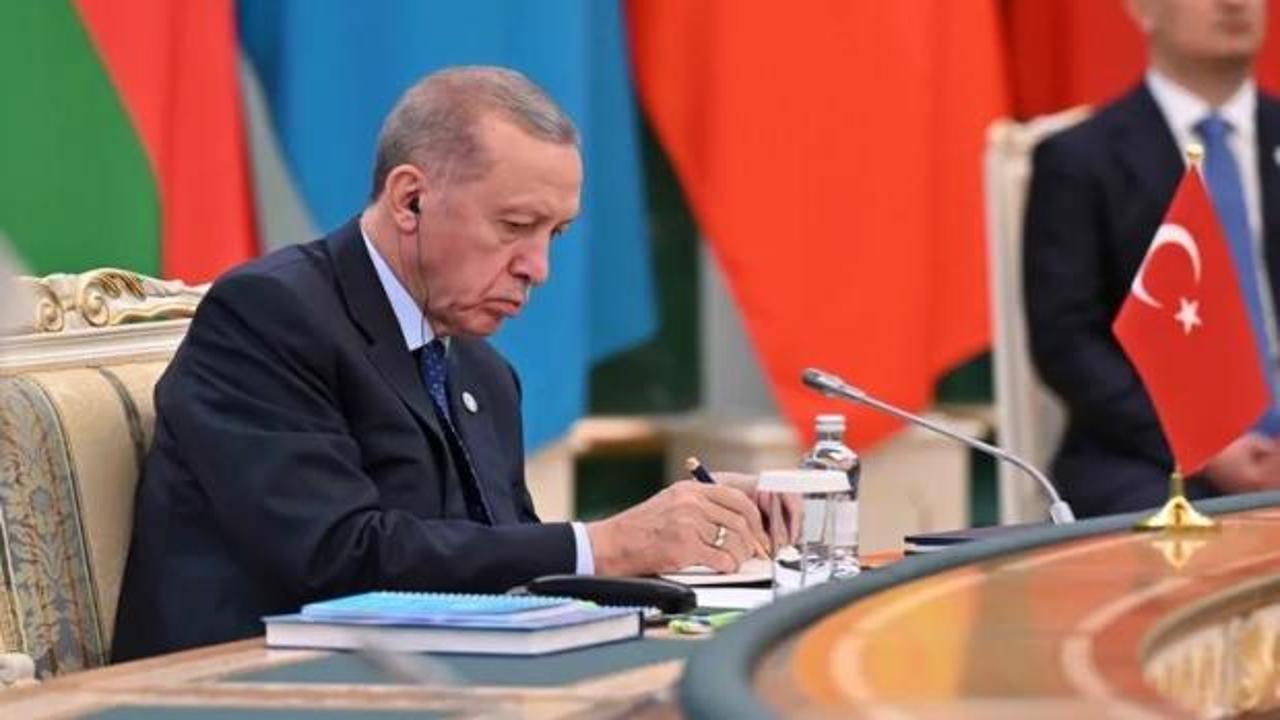 Cumhurbaşkanı Erdoğan: Türk Yatırım Fonu'nu devreye alalım