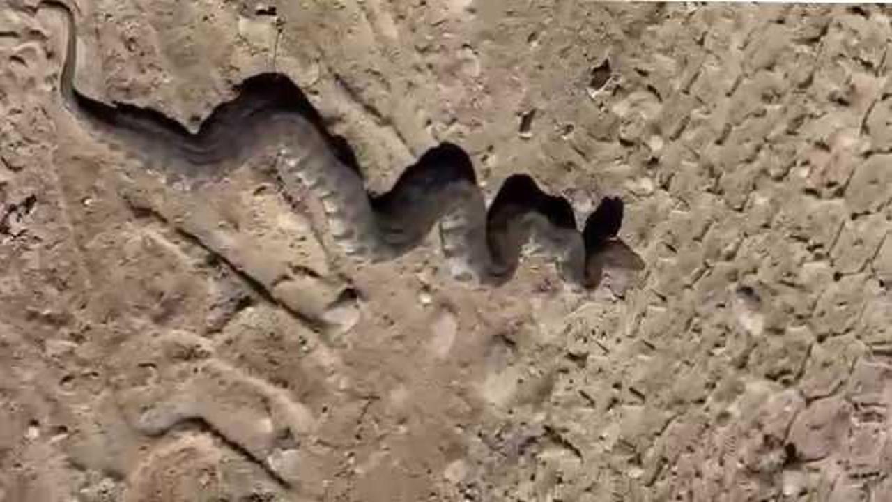 Elazığ'da g&ouml;r&uuml;ld&uuml;, devasa b&uuml;y&uuml;kl&uuml;kte! 