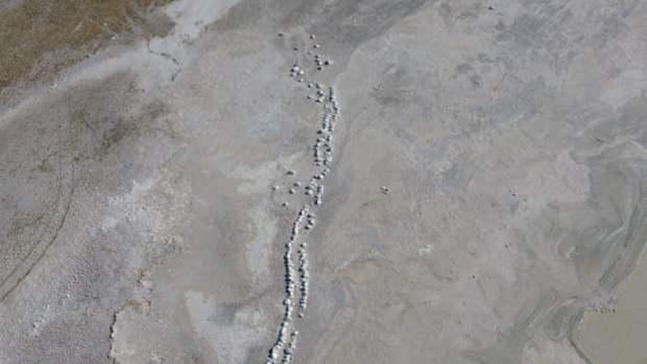 Kuş cennetini kuraklık vurdu, mikrobiyalitler g&ouml;r&uuml;nd&uuml;