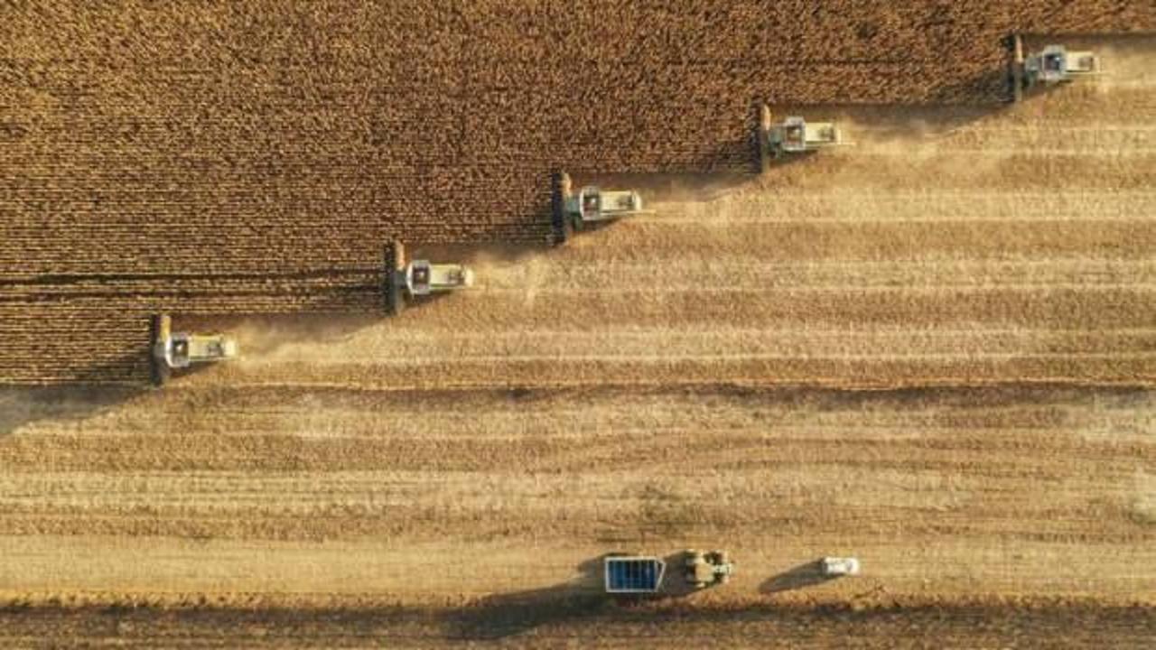 Tarımsal destek &ouml;demeleri bug&uuml;n hesaplarda