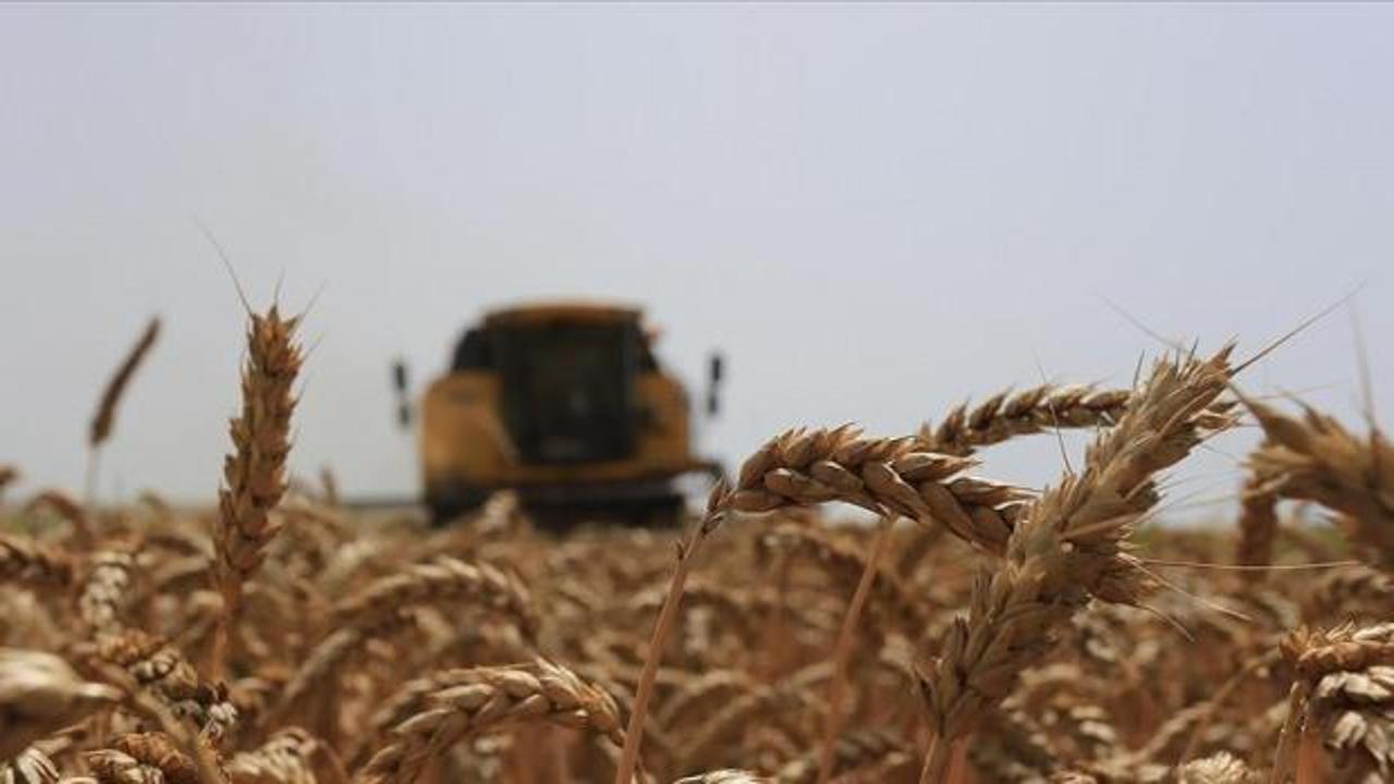 TARSİM'de 2025 yılı Bitkisel Üretim Sezonu açıldı