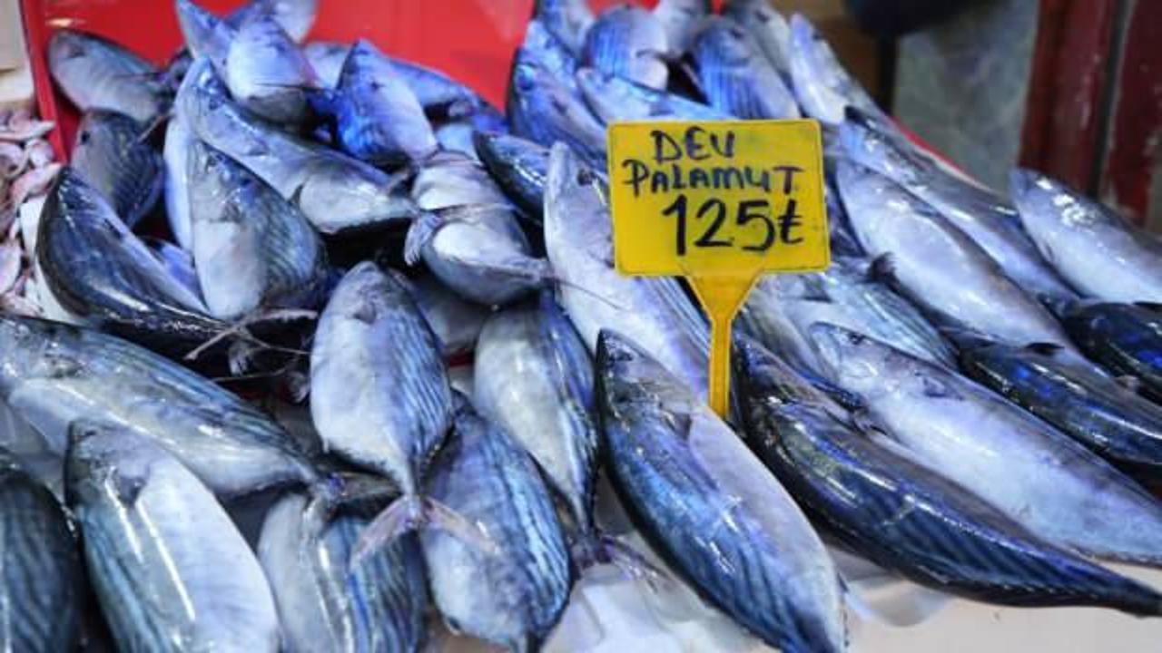 Ucuz palamut i&ccedil;in son g&uuml;nler!