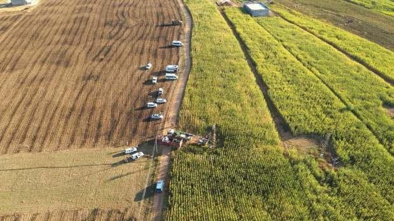 Şanlıurfa'da tarlalarda 15 kayıt dışı trafo tespit edildi