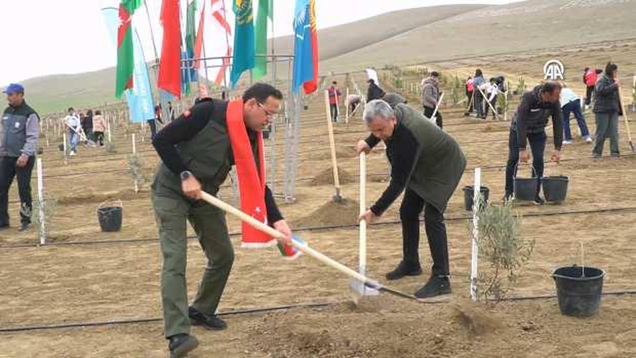 Azerbaycan'da 111 bin 111 fidan toprakla buluştu
