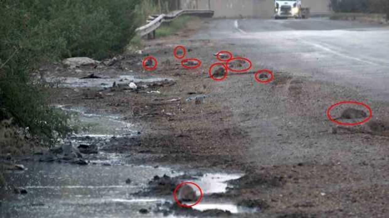 B&ouml;lgeden ge&ccedil;en vatandaşlar şaşkına d&ouml;nd&uuml;! Her yerdeler...