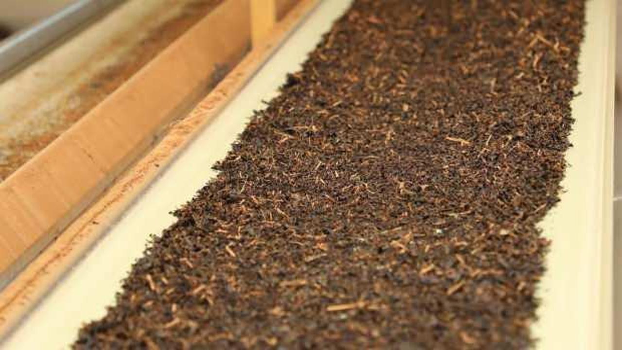 &Ccedil;AYKUR, bu yıl alınan &ccedil;aydan 150 bin ton kuru &ccedil;ay &uuml;retti