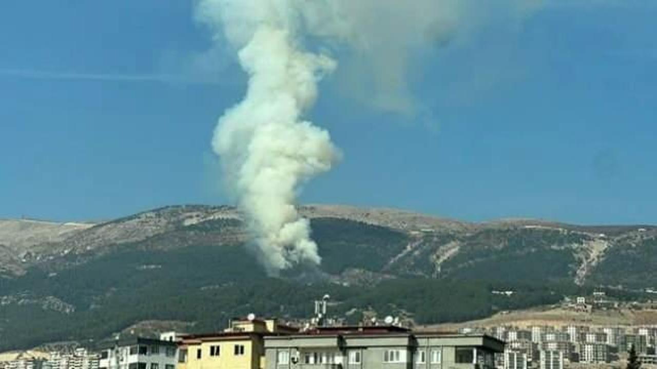 Kahramanmaraş'ta orman yangını! Ekipler devrede