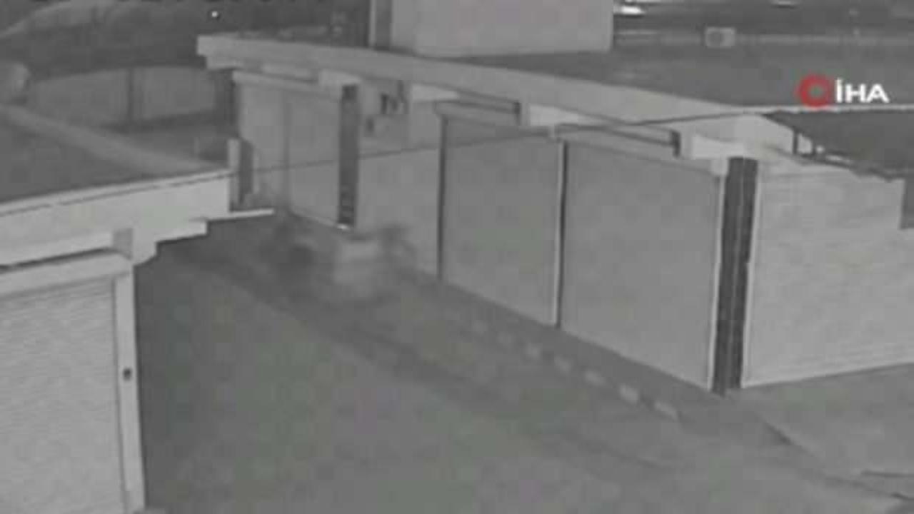 Görenleri şaşkına uğratan hırsızlık! At arabasıyla gelip...